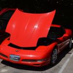 StElizabeth_0012 (September 09, 2016)